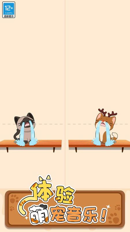 猫咪二重奏_图片4