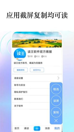 读王_图片3