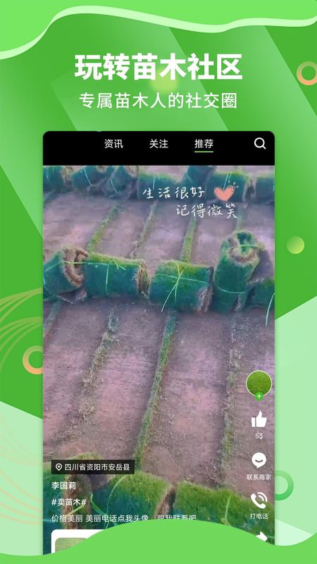苗木通_图片2