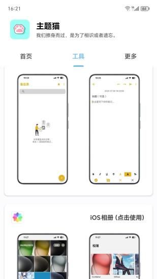 主题猫_图片2