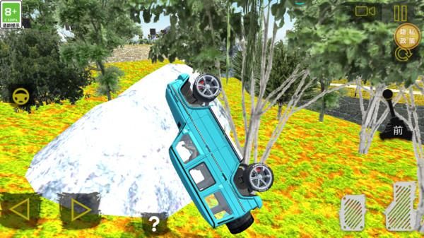 狂野过山车_图片1