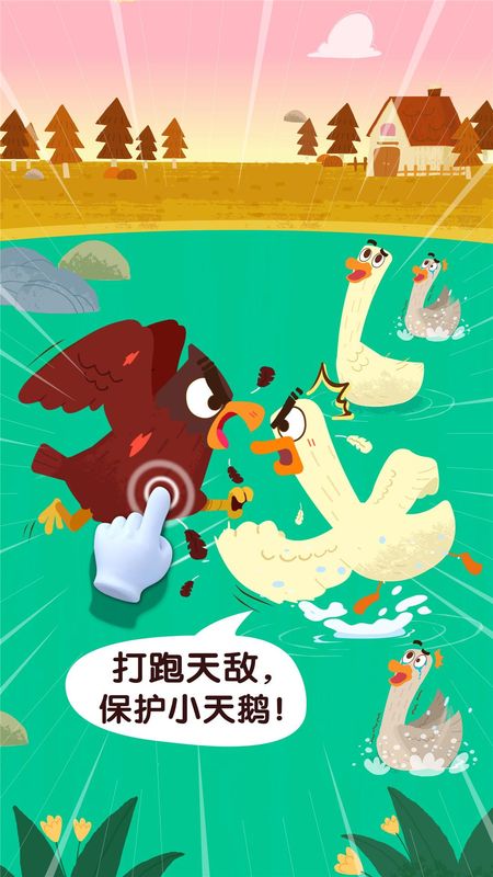 宝宝鸟类认知_图片4
