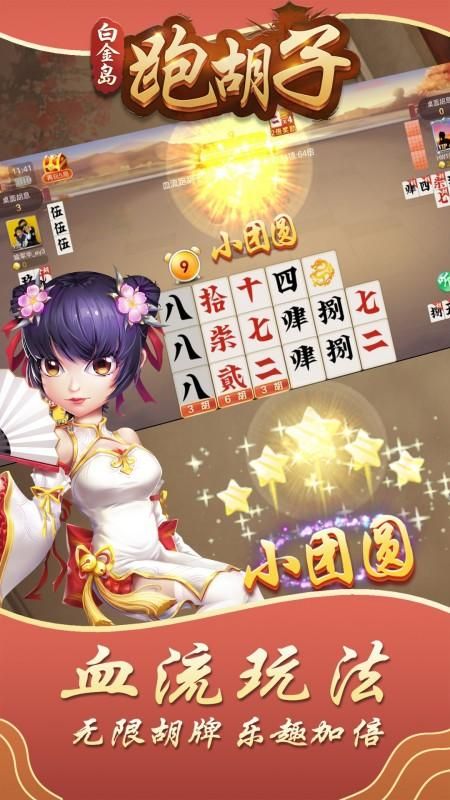 白金岛跑胡子_图片2
