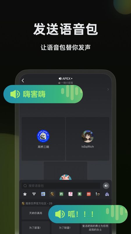 黑盒语音_图片3