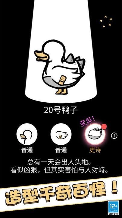 奇怪的鸭子_图片1