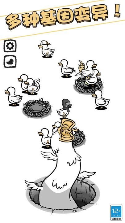 奇怪的鸭子_图片2