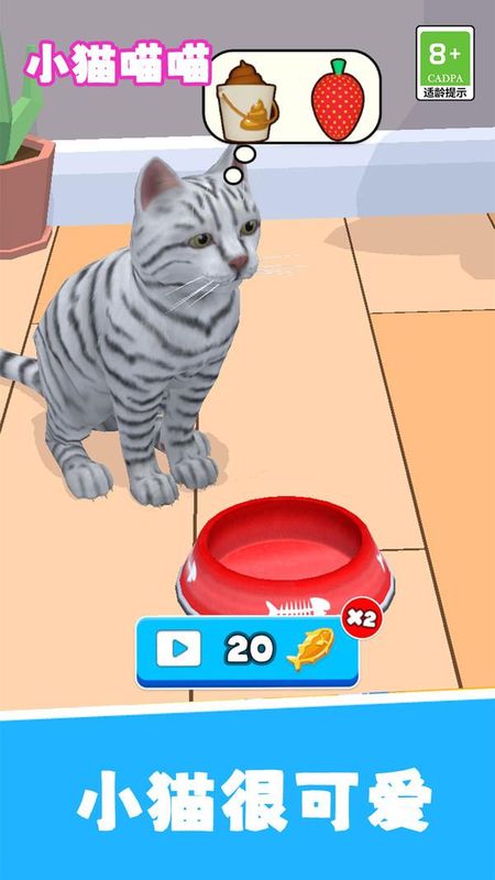 小猫喵喵_图片1