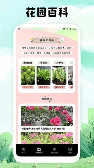 万物识图大师_图片3