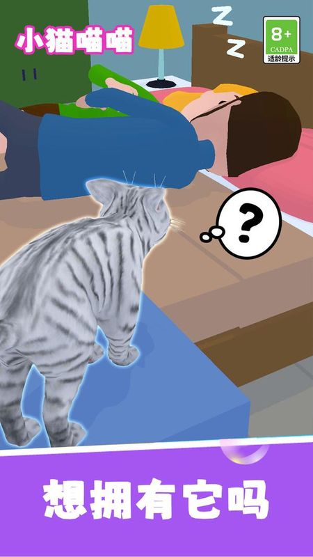 小猫喵喵_图片5