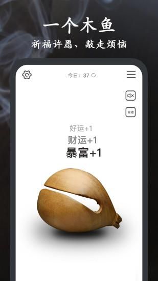 Now木鱼_图片2