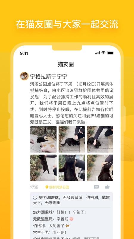 街猫_图片2