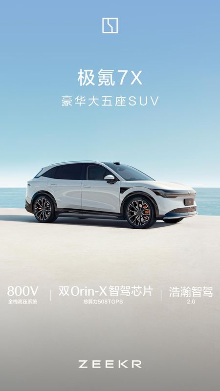 极氪_图片1