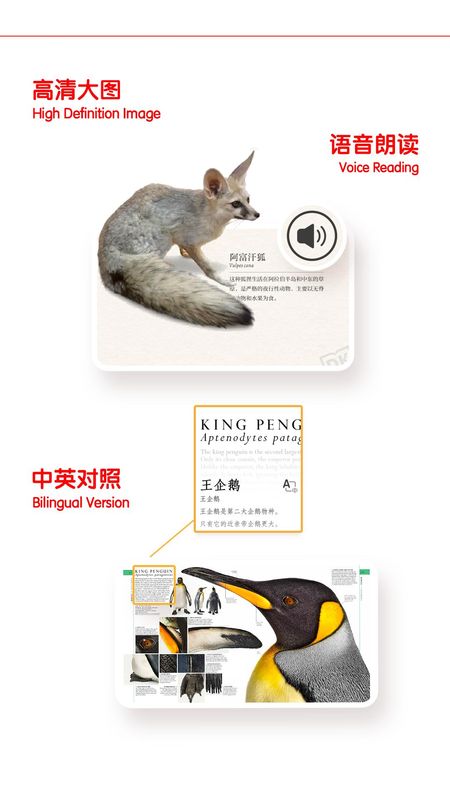 千奇百科岛_图片4