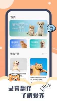 peppy cat_图片2