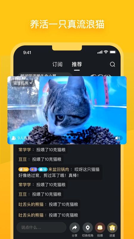 街猫_图片1