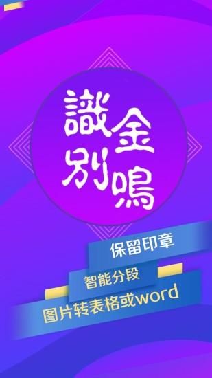 金鸣文表识别_图片1