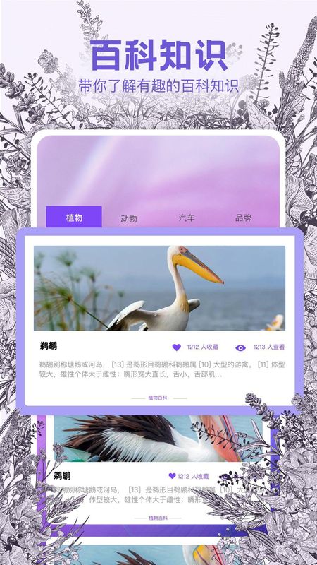 识物相机_图片2