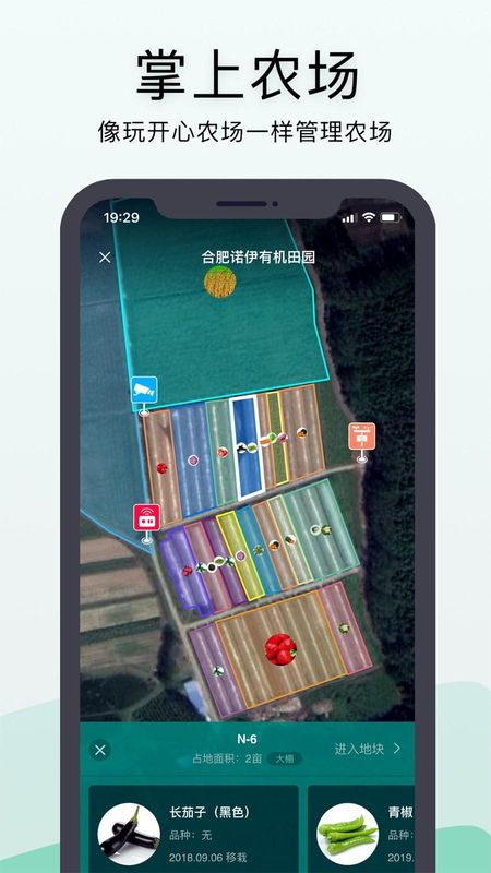 神农口袋_图片2