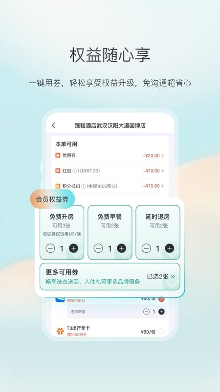 东呈青猫会_图片4