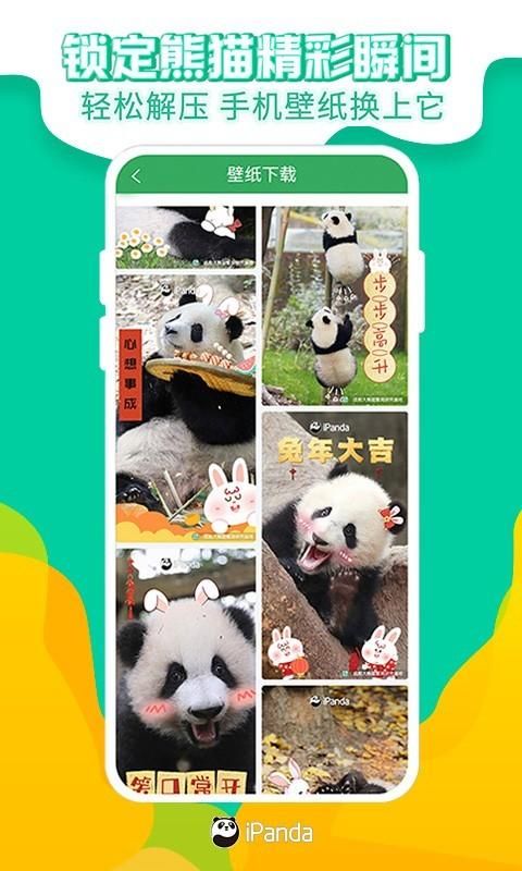 熊猫频道_图片3