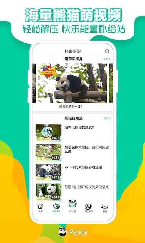 熊猫频道_图片4