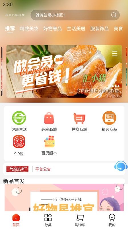汇小猪_图片1