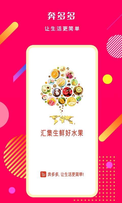 奔多多_图片1