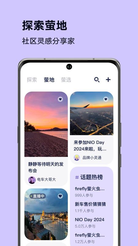 firefly萤火虫_图片4