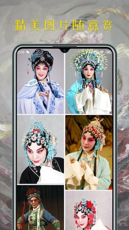 豫剧迷_图片2