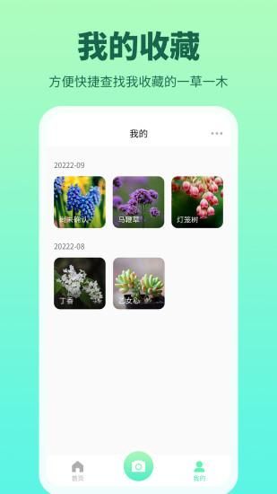 花多多_图片4