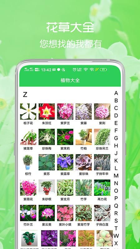花草日记植物识别_图片2