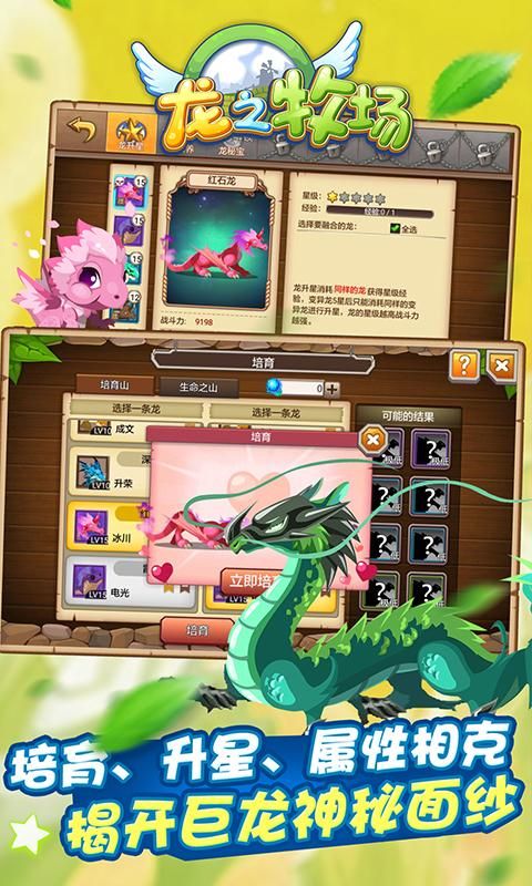 育龙高手_图片5
