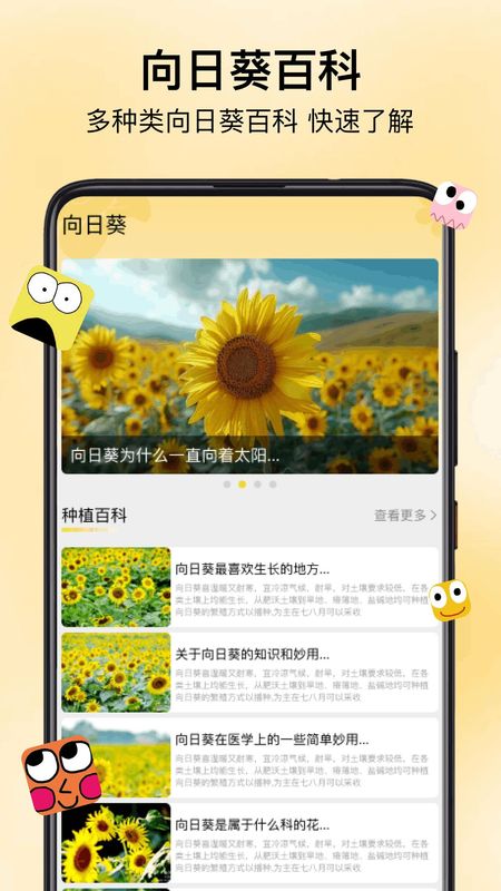 保卫向日葵_图片3