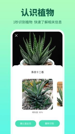 花多多_图片3