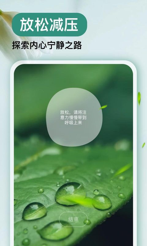 Now冥想_图片4