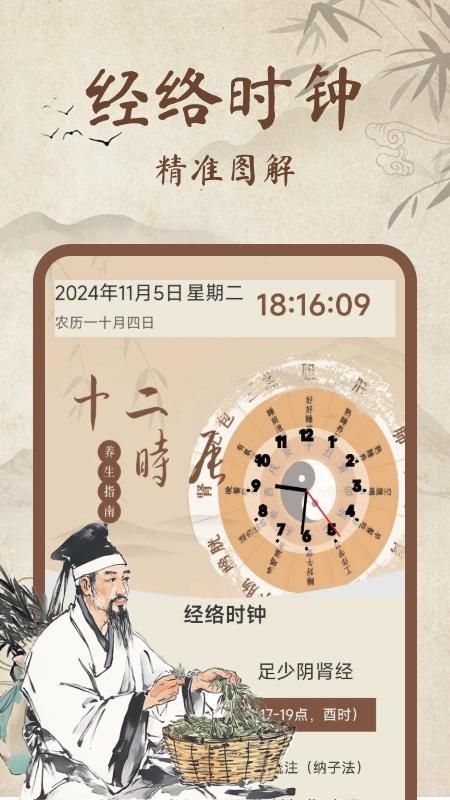 中医经络穴位图解_图片4