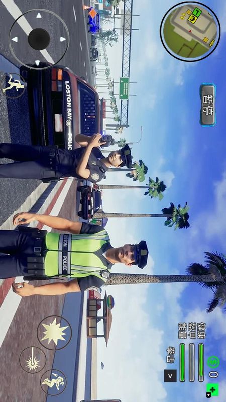 城市警察模拟_图片3