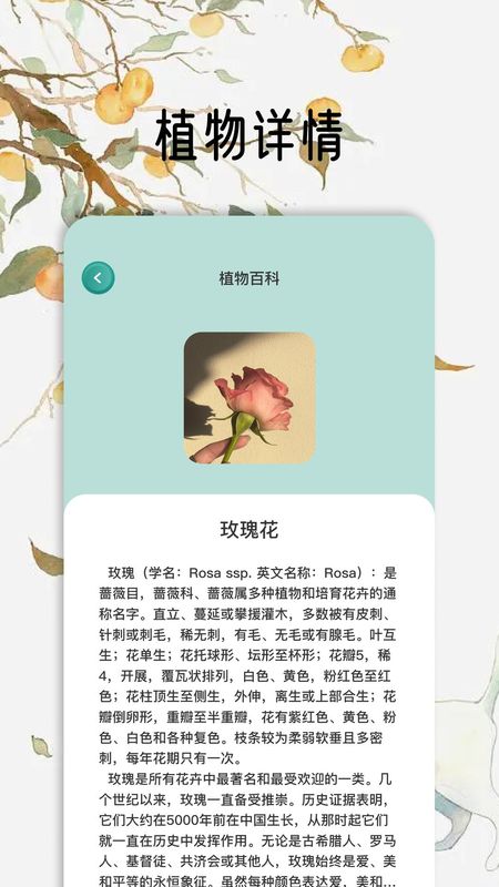 花草秒识别_图片3