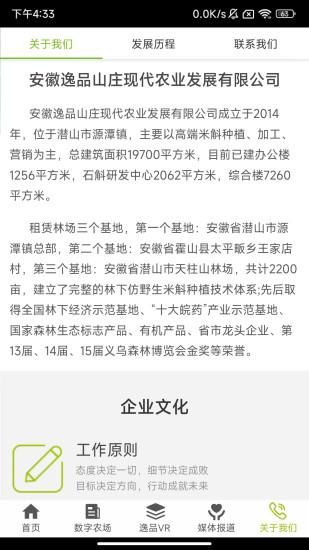 逸品石斛_图片2
