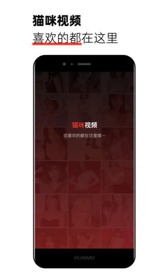 猫咪视频_图片1