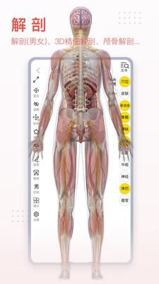 3Dbody解剖_图片3