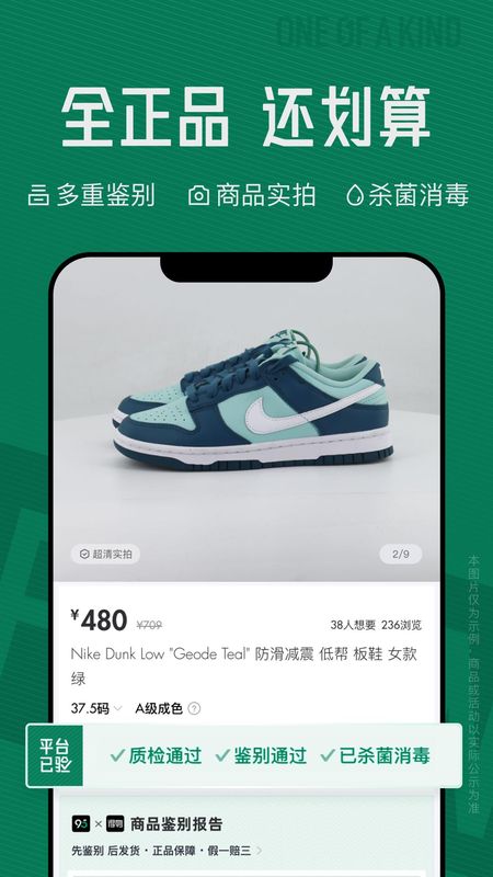 95分_图片3