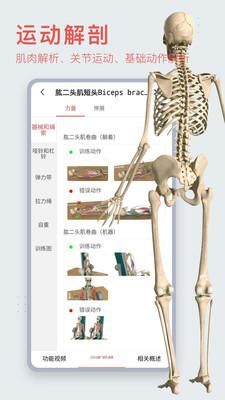 3Dbody解剖_图片1