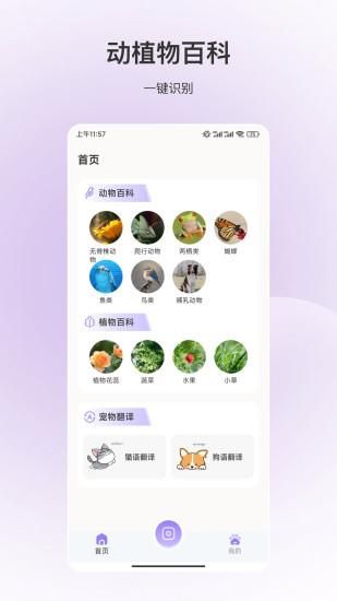百科全书_图片1