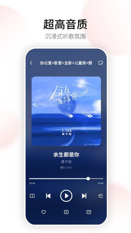 Swan Audio_图片4