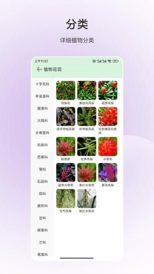百科全书_图片3