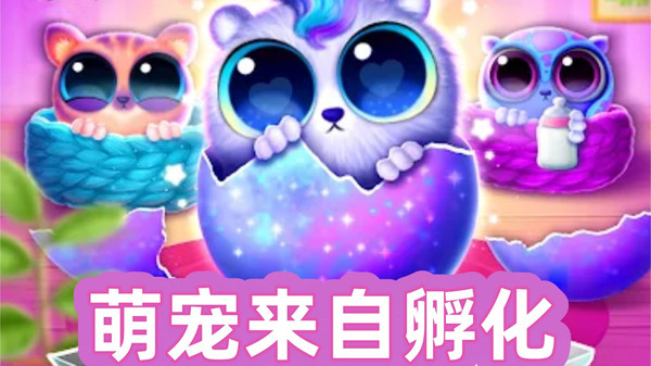 萌派开心养宠_图片4