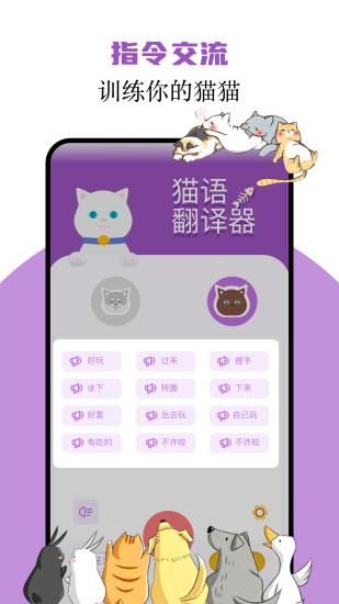 猫语翻译君_图片2