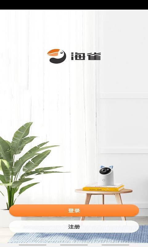 海雀_图片1
