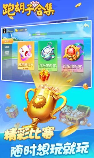 跑胡子合集_图片3